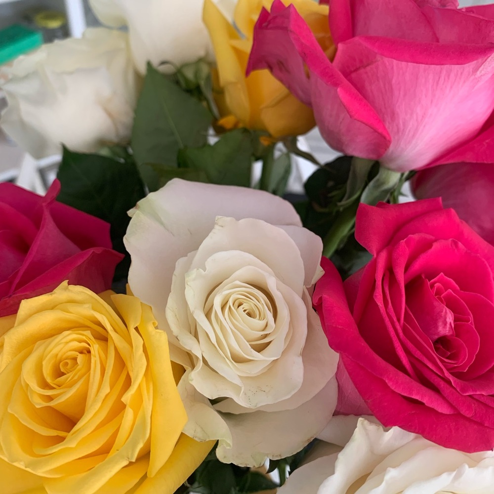 Meet your Posher, Elizabeth